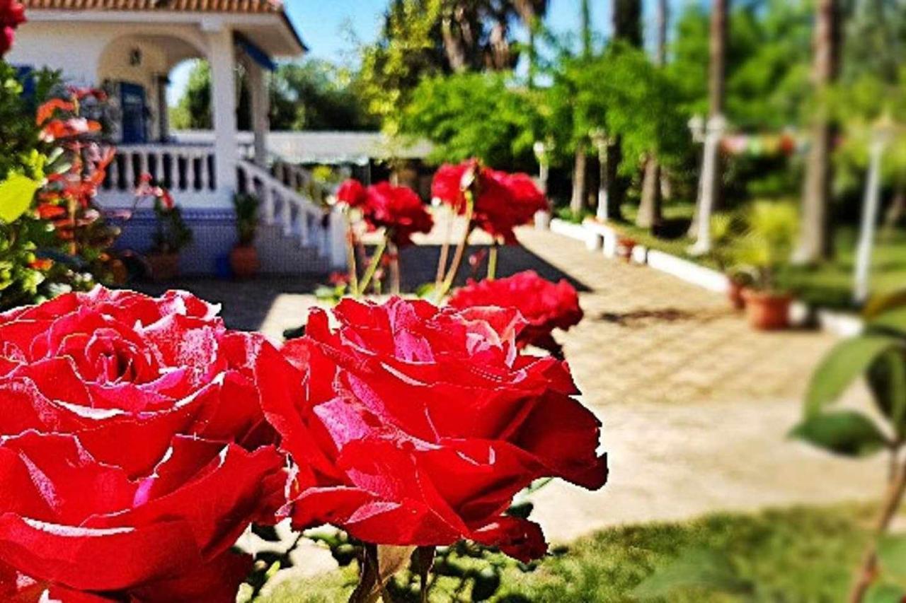 Casa Rural Finca Real De Ньебла Экстерьер фото